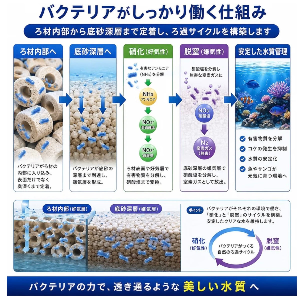 【マメデザイン】マメバクテリアプラス ニトロマリン 200ml