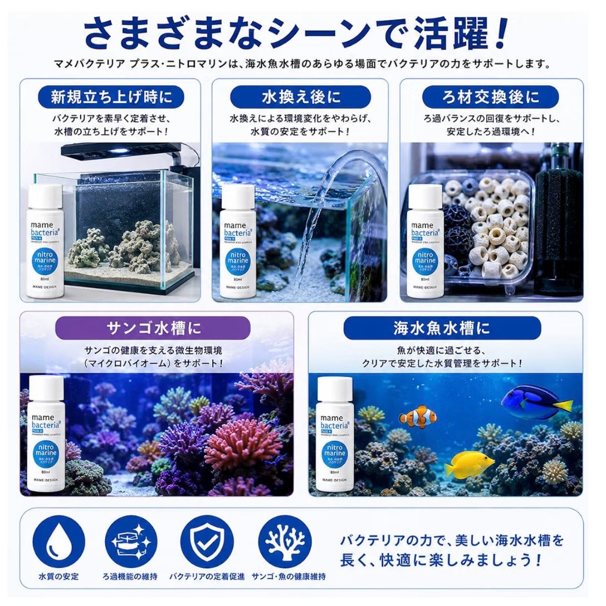 【マメデザイン】マメバクテリアプラス ニトロマリン 200ml