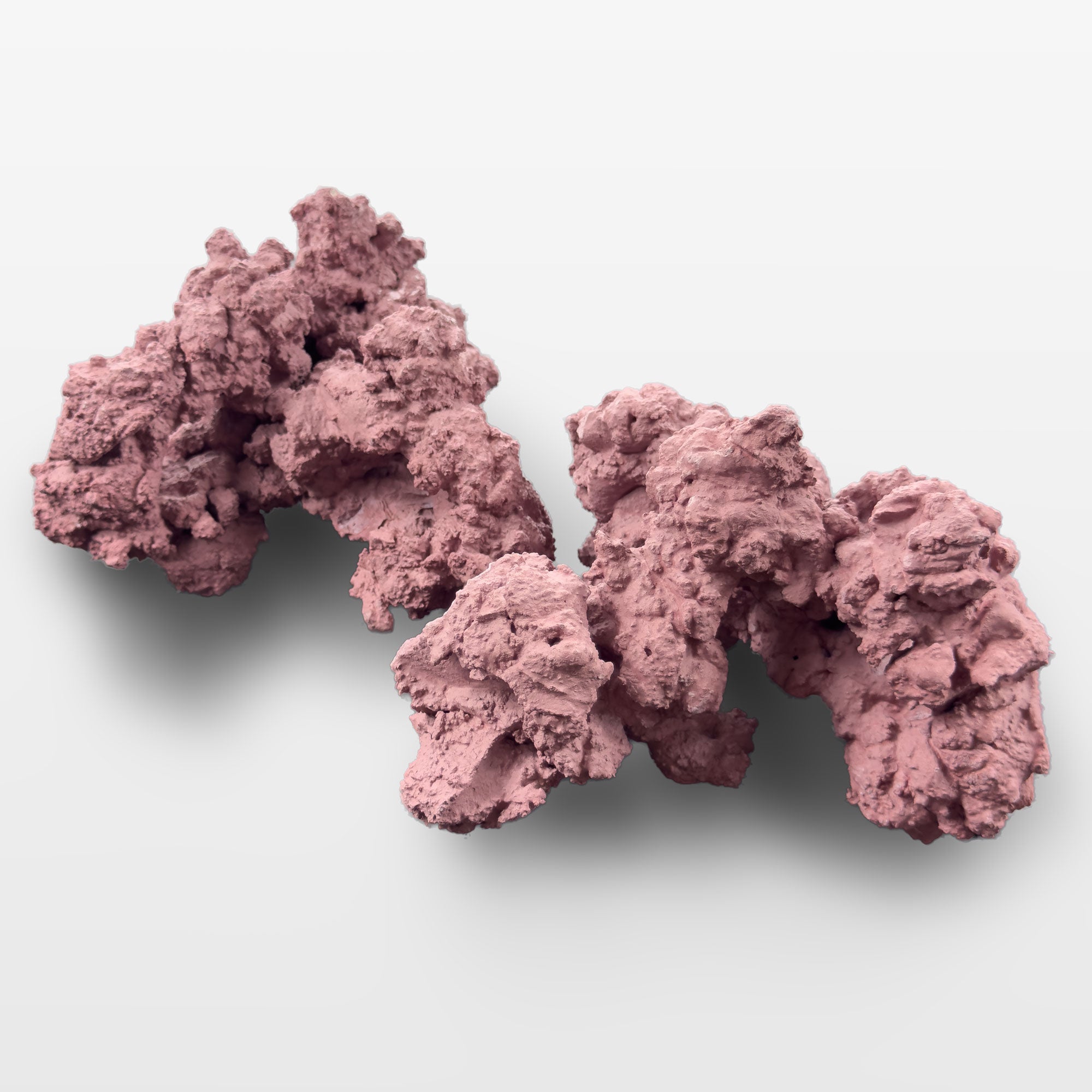 マメデザイン】マメライブロック 2個セット – MOTOBU AQUARIUM