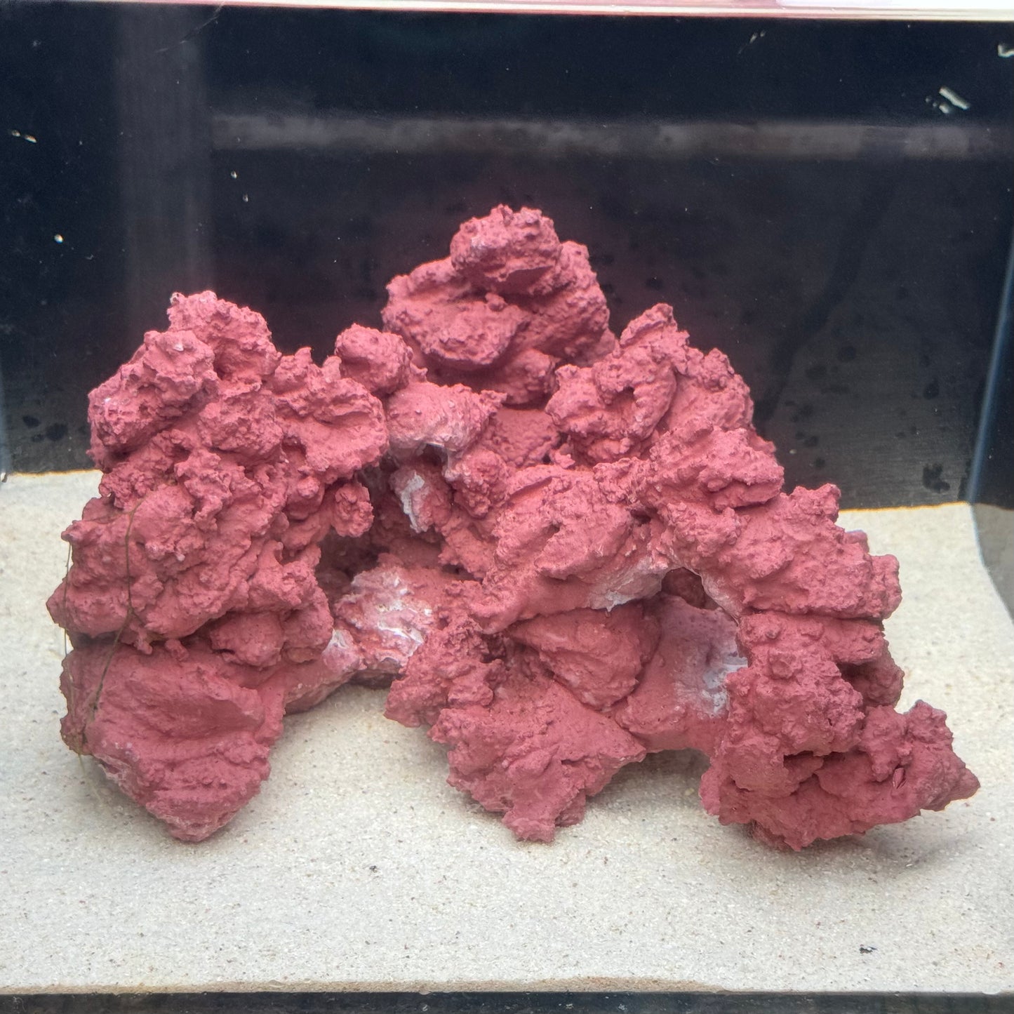 【マメデザイン】マメライブロック熟成タイプ(現品)