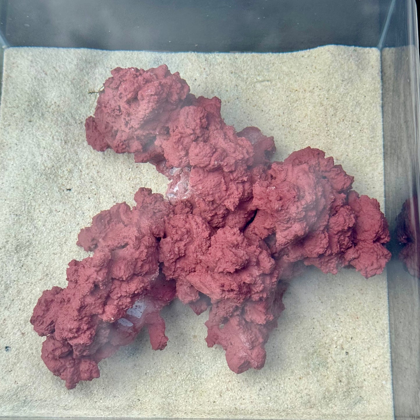 【マメデザイン】マメライブロック熟成タイプ(現品)