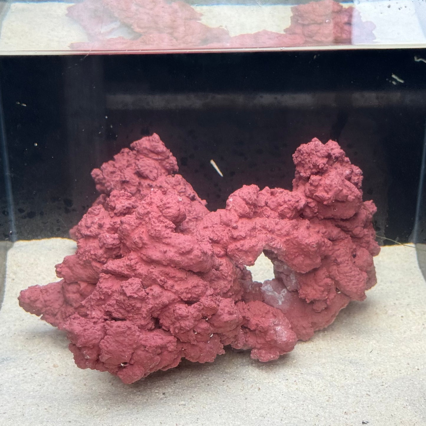 【マメデザイン】マメライブロック熟成タイプ(現品)