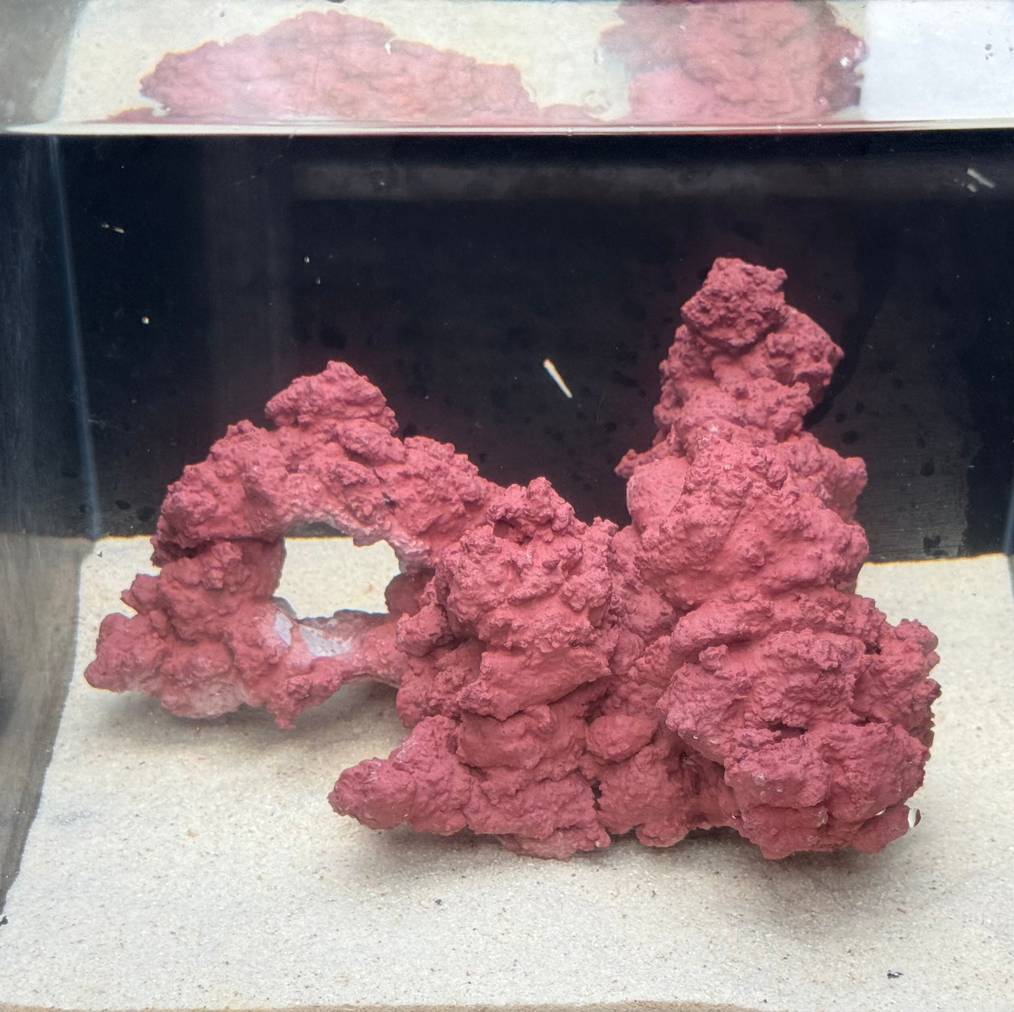 【マメデザイン】マメライブロック熟成タイプ(現品)