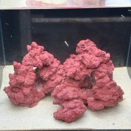 【マメデザイン】マメライブロック熟成タイプ(現品)