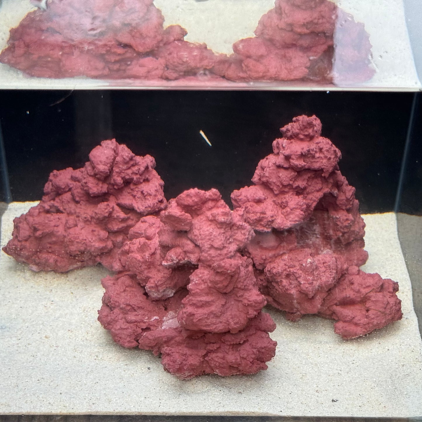 【マメデザイン】マメライブロック熟成タイプ(現品)