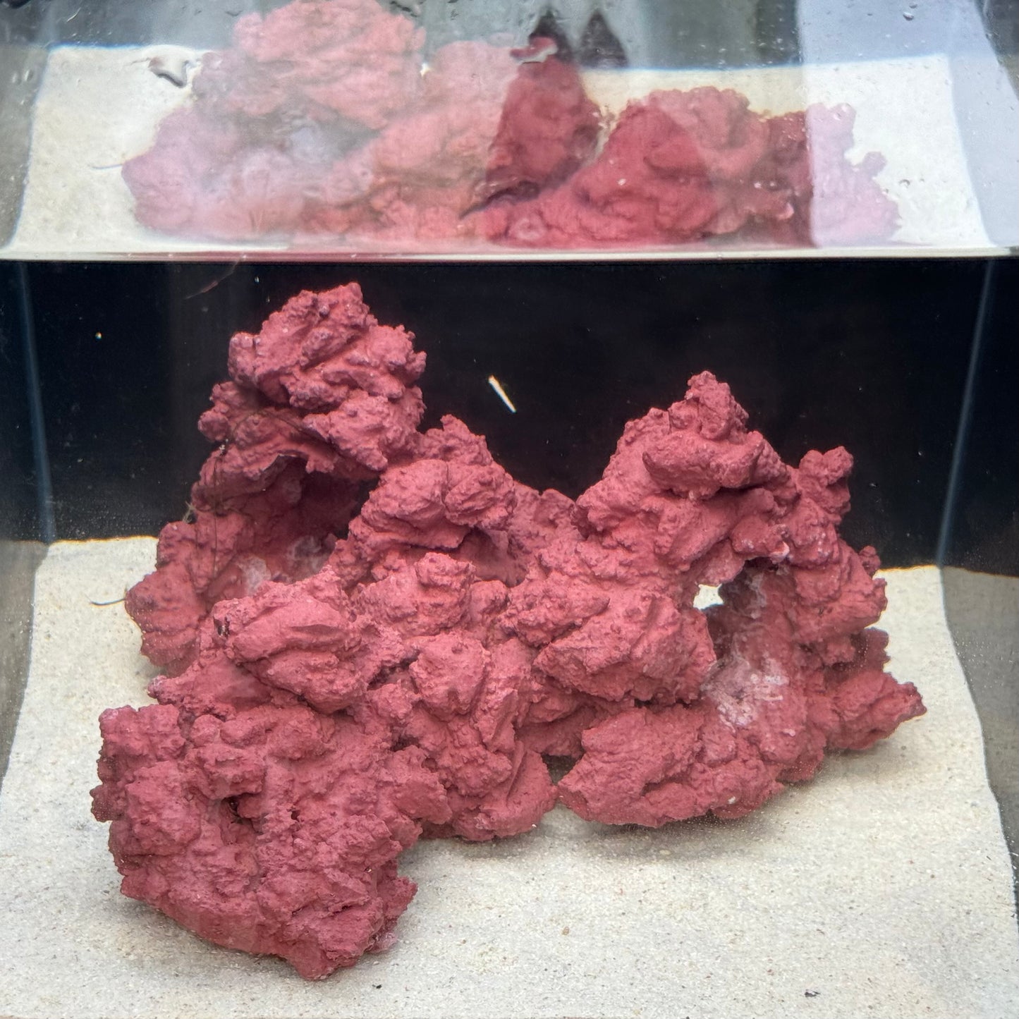 【マメデザイン】マメライブロック熟成タイプ(現品)