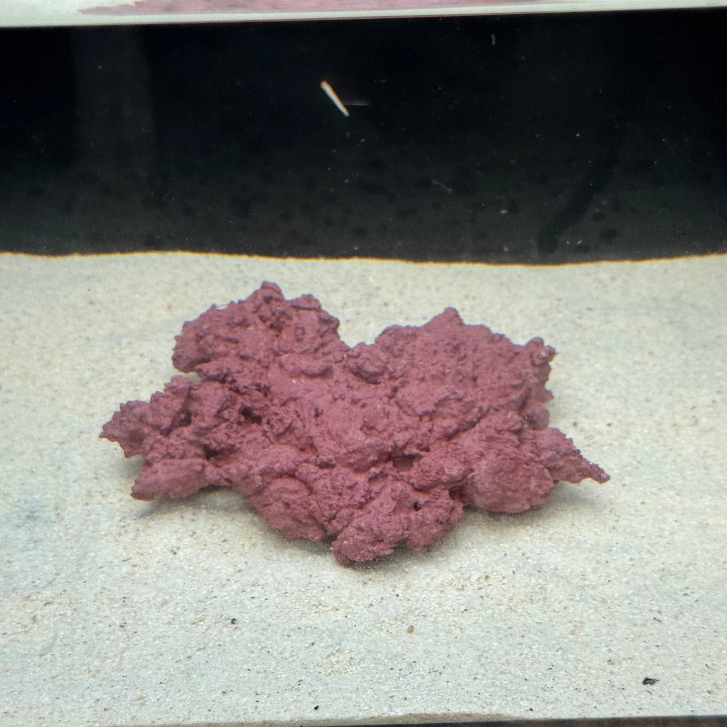 【マメデザイン】マメライブロックプレート1/3熟成タイプ