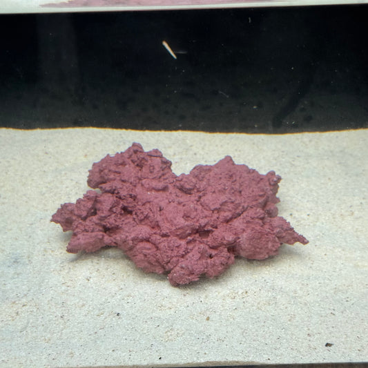 【マメデザイン】マメライブロックプレート1/3熟成タイプ