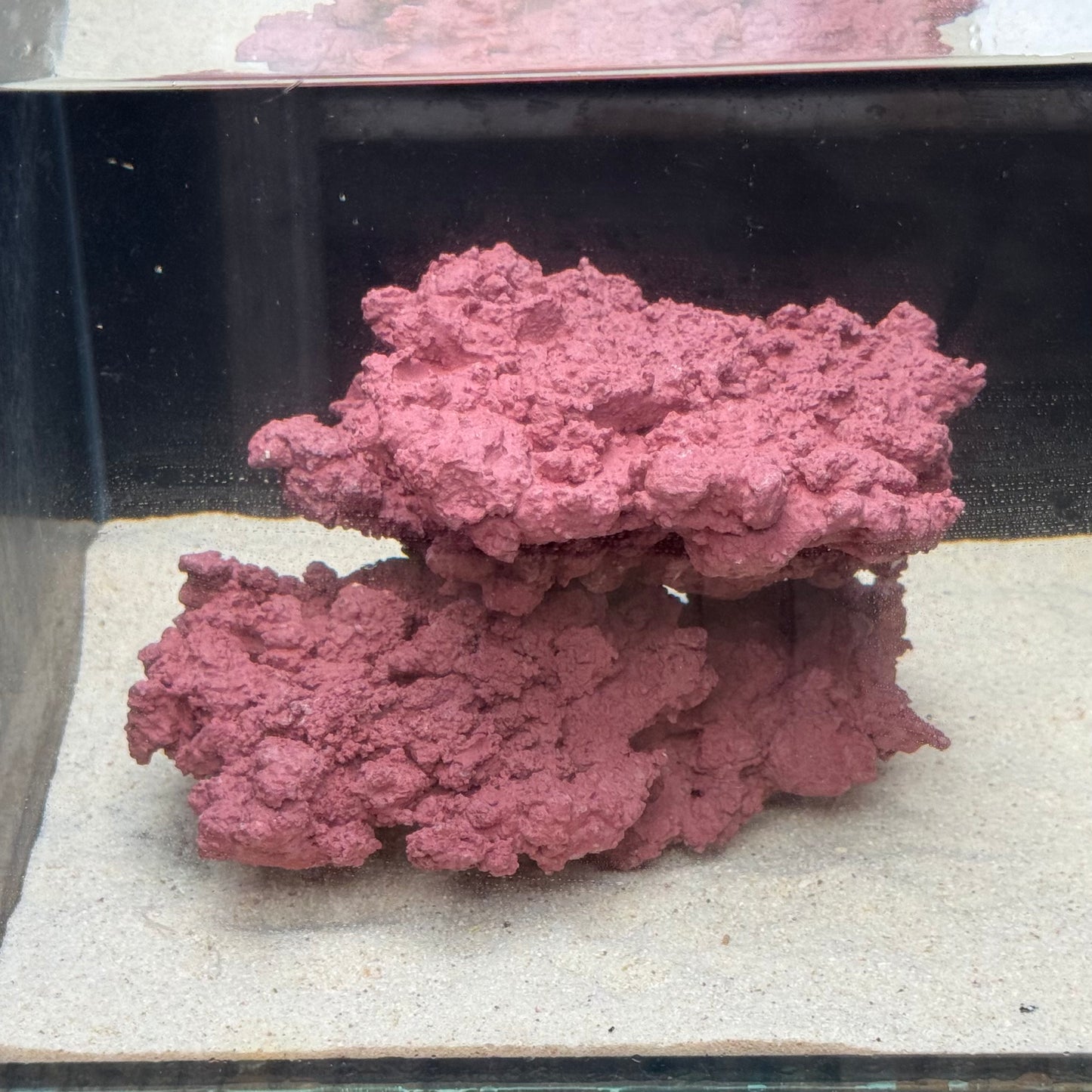 【マメデザイン】マメライブロックプレート1/3熟成タイプ